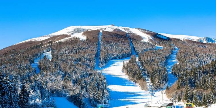 Fis kup “Djeca za mir u svijetu”