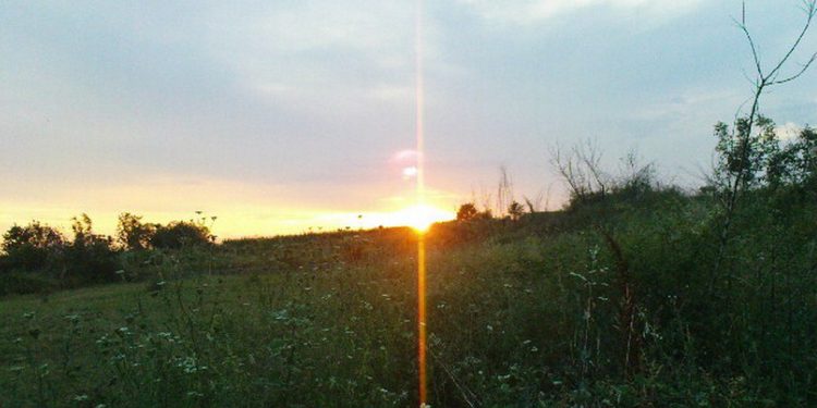 Predstavljamo Udruženje ”Pjana brda”