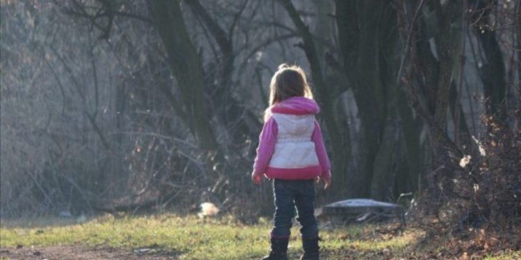 “Šumsko tlo” u finskim vrtićima promijenilo dječiji imunološki sistem
