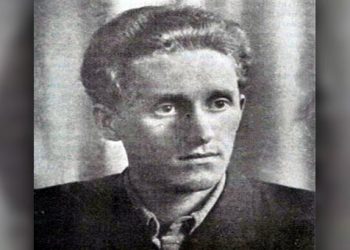 Zija Dizdarević: Majka