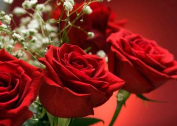 Jesu li žene ravnopravan spol u bh. društvu i kako se tretiraju njihova prava?