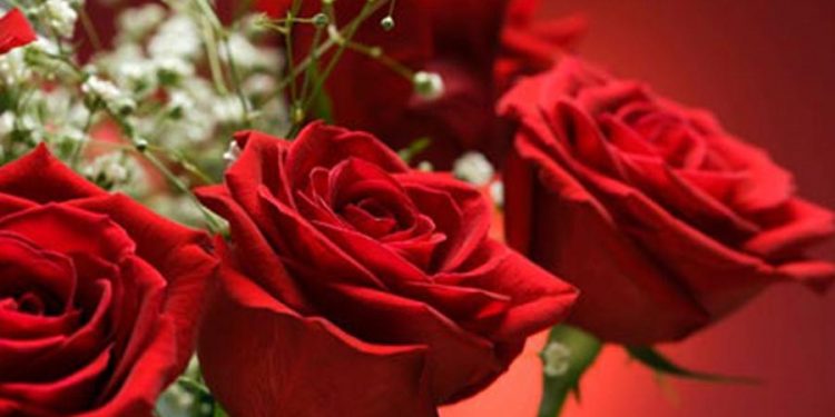 Jesu li žene ravnopravan spol u bh. društvu i kako se tretiraju njihova prava?