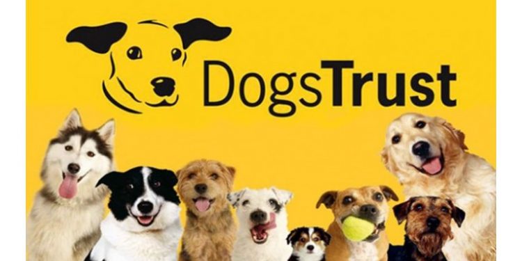 Dogs Trust: Škola za pse gostuje u Mostaru