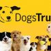 Dogs Trust: Škola za pse gostuje u Mostaru
