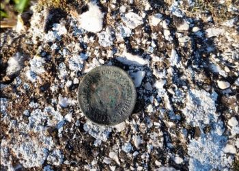 Dvadeset para može biti blago