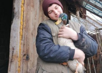 Umjesto u igricama i mobitelima, mladić Jusuf Mašić uživa u uzgoju peradi