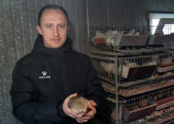 Adnan Ibrahimović od hobija razvio ozbiljan posao uzgoja japanskih prepelica
