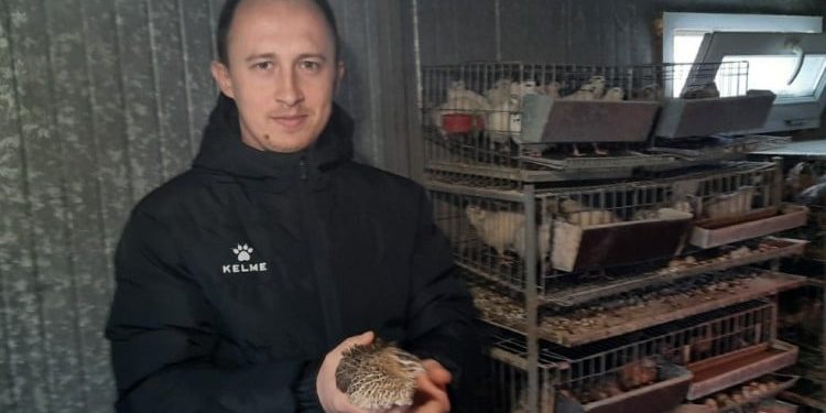 Adnan Ibrahimović od hobija razvio ozbiljan posao uzgoja japanskih prepelica