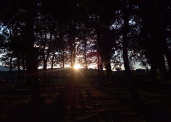 Rituali iz drugačijeg ugla