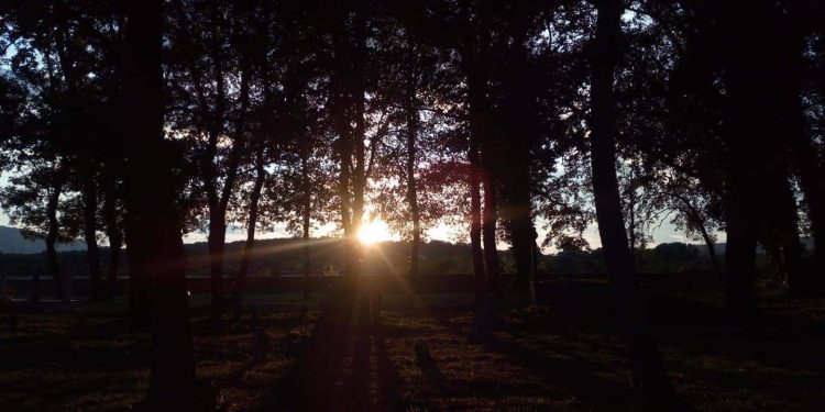 Rituali iz drugačijeg ugla