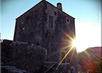 Može li vitamin D umanjiti rizik od COVID-19?