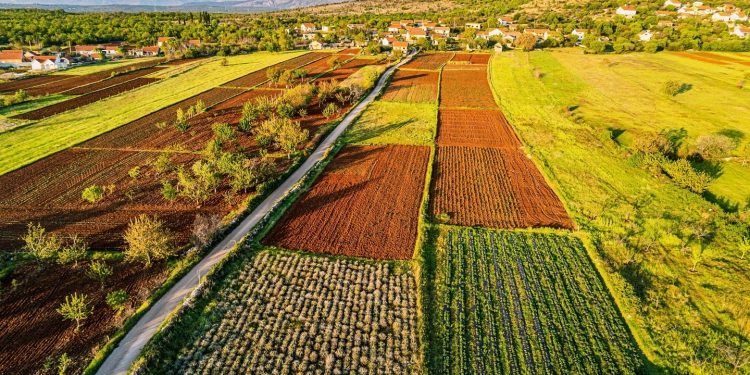 Proljeće u Dubravama