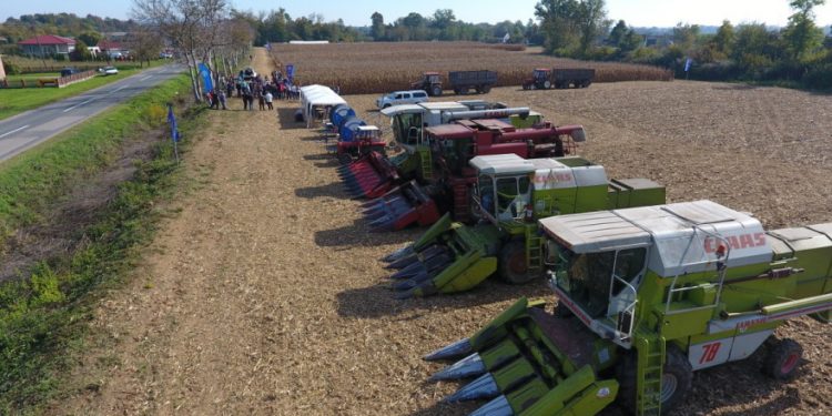 Nema uvođenja zaštitnih mjera do daljnjeg, tone voća i povrća i dalje čekaju na izvoz