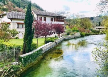 Hamza Elezović – Avlija