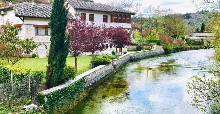 Hamza Elezović – Avlija