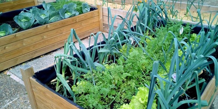 Koliko zemljišta je potrebno da prosječna porodica proizvodi hranu za sebe?