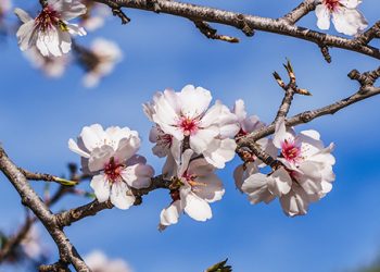 Uživajte u suncu, stiže promjena: Danas temperature do 24 stepena, a u subotu…