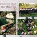 Ujedinjene u brend „Hercegovka“ ove žene žele da poboljšaju turizam u svojoj opštini predstavljajući gastronomsku ponudu i sa ponosom ističu ljepotu i blagodati krajolika u kojem žive!