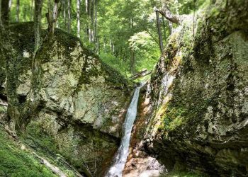 Kraljevska voda Bobovac – izvor sa kojeg su bosanski kraljevi pili