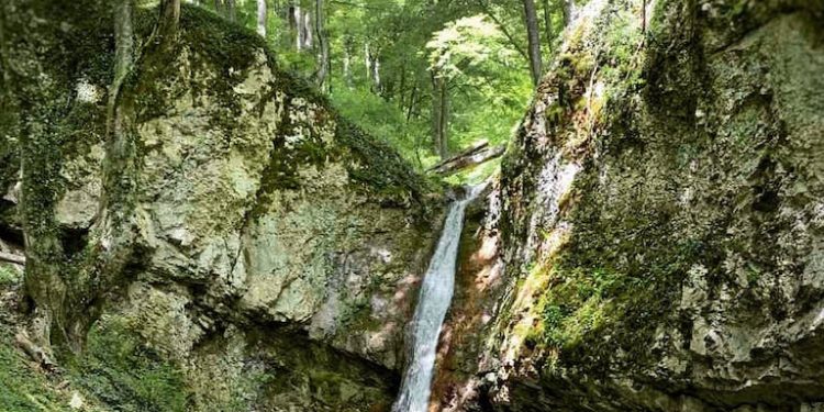 Kraljevska voda Bobovac – izvor sa kojeg su bosanski kraljevi pili