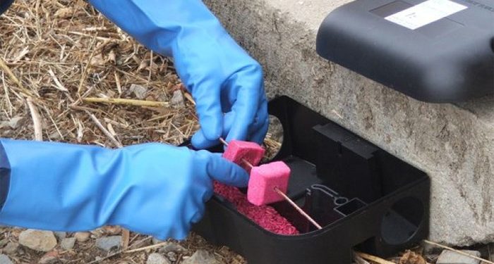 Počinje proljetna faza deratizacije na području HNK-a