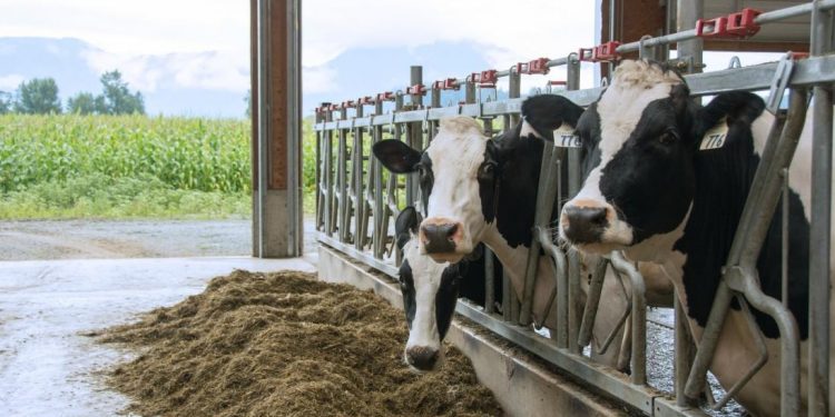 Trebamo motivisati mlade da se bave poljoprivredom