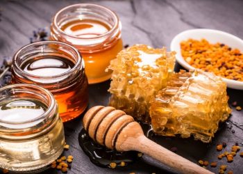 Četiri zdravstvene tegobe koje liječi propolis