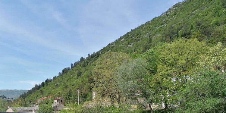 Proljeće stiže u punom sjaju