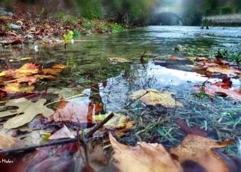 Suad Kika Prndelj: Stolac sub sole