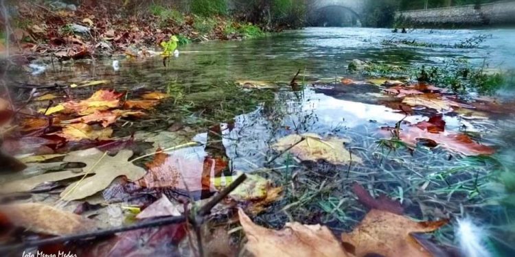 Suad Kika Prndelj: Stolac sub sole