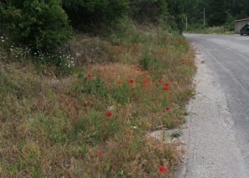 Zemljotres jačine 2,7 stepeni po Richteru potresao je Bosnu i Hercegovinu