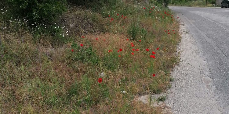 Zemljotres jačine 2,7 stepeni po Richteru potresao je Bosnu i Hercegovinu