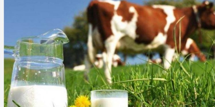 Danas je Svjetski dan mlijeka, upoznajmo njegove prednosti