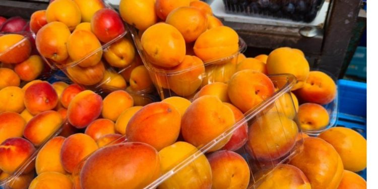 Kajsije su obavezan dio ljetnog menija