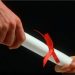 Revizija diploma: U ovim federalnim ustanovama i preduzećima je najviše nevjerodostojnih diploma