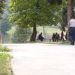 Klupko odgovornosti u Zavodu Pazarić se odmotava