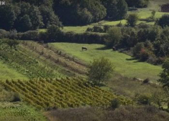 Priča o Dubravskoj visoravni, našem najbogatijem poljoprivrednom kraju