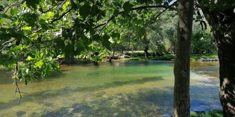 Uzeir Hadžibeg: Novi dan