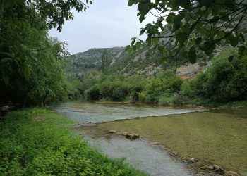 Novi toplotni val: Do petka temperature 40 stepeni Celzijevih
