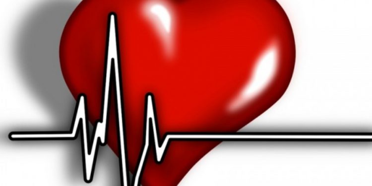 Kardiovaskularne bolesti i dalje su na prvom mjestu po broju umrlih: Ovih deset namirnica čuvaju srce