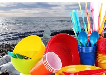 Plastični tanjiri, čaše i escajg štetni za zdravlje