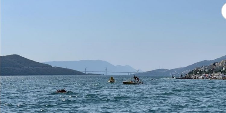 Koliko će Pelješki most donijeti štete ili dobiti BiH?