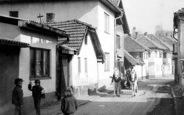 Bolje svoje i baksuz nego tuđe hairli