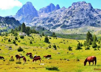 Priča o bh. selu Dramiševo: “Neke čudne sile me tamo vuku”