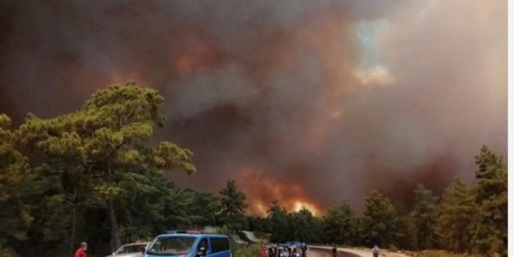 Pod kontrolom 122 od ukupno 129 šumskih požara u Turskoj