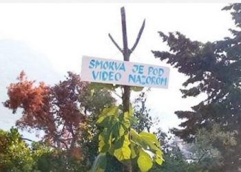 Smokva pod videonadzorom