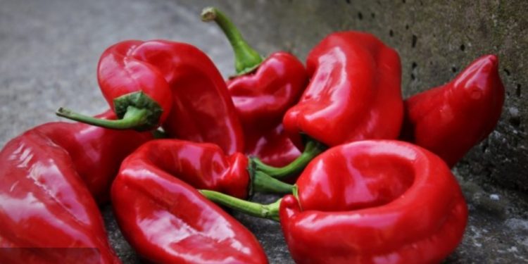 Paprika – izuzetno zdrava namirnica