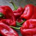 Paprika – izuzetno zdrava namirnica
