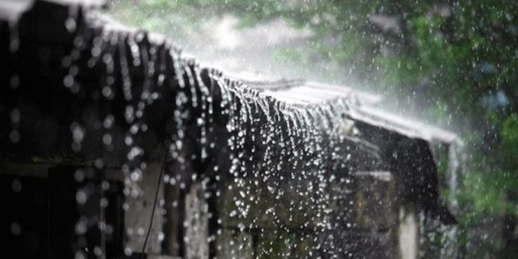 Mehmedalija Mak Dizdar: “Dažd”