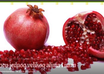 Priča o ocu jednog velikog alima i naru